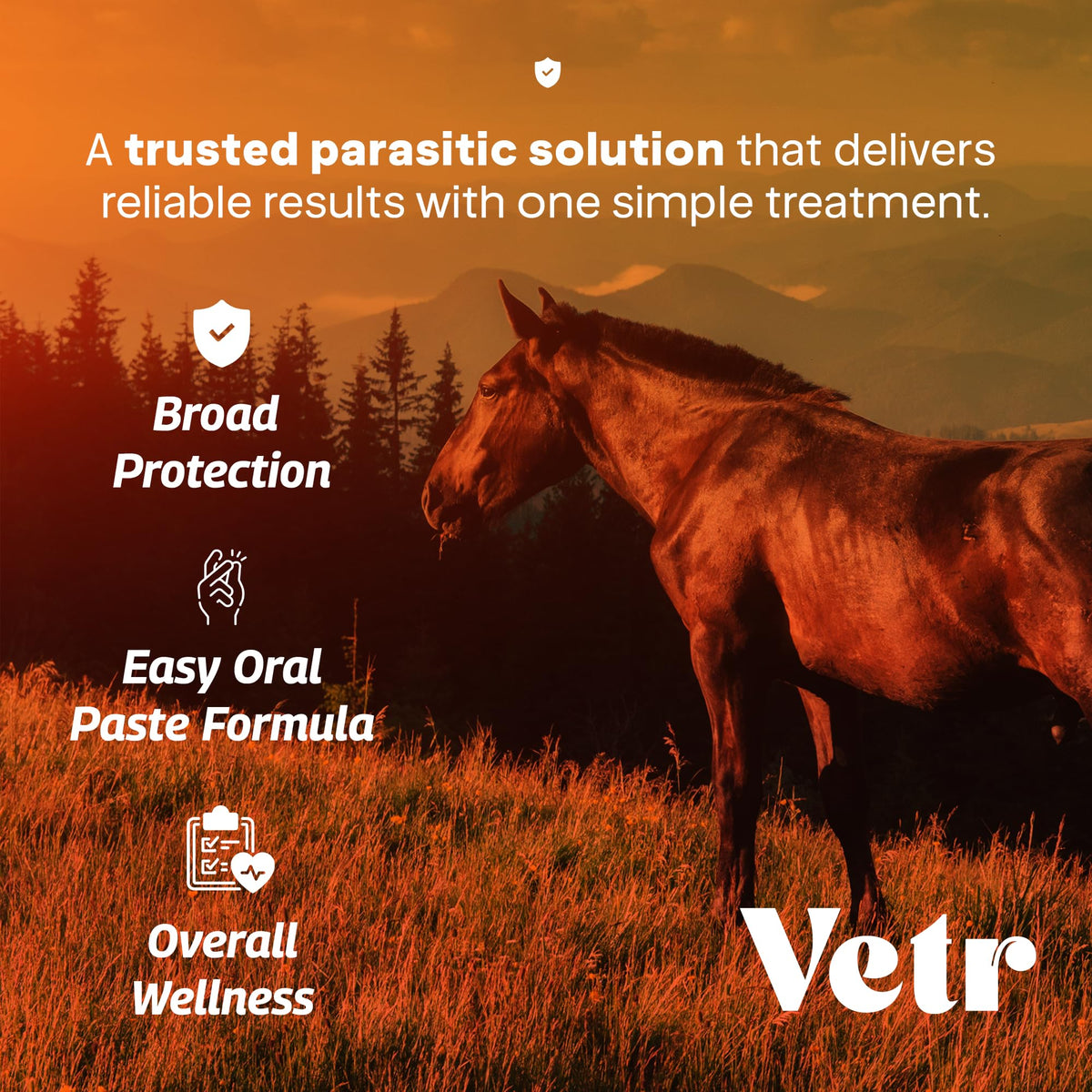 Ivermectin for Horses & Sheep 1.87% Concentration, 6cc, 7 Pack