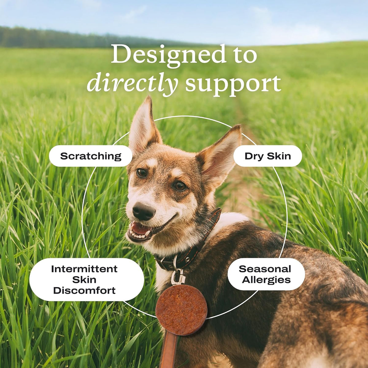 PetLab Co. Itch Relief Chews for Dogs, 30 Soft Chews, Pork | Omega 3-6-9, turmeric, and honey to support dry skin, coat health and immune balance daily