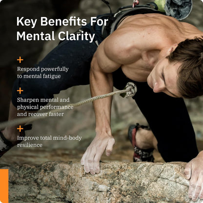 Adaptogen Greens - Mind-Body Resilience Formula - Caffeine-Free Nootropic for Stress, Focus, and Cognitive Performance - 90 Capsules | Clinically-Supported 300mg Bacognize with Eleuthero, Ashwagandha and Rhodiola for Memory, Mood and Fatigue Relief