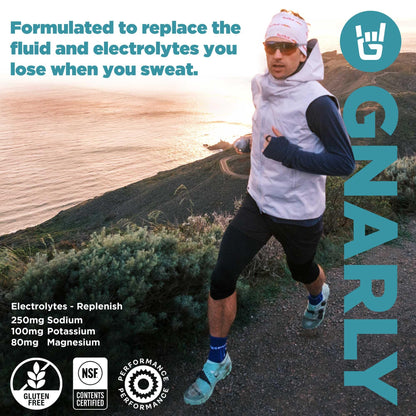 Gnarly Nutrition Hydrate Electrolyte Powder – Orange Pineapple Exercise Hydration Drink Mix – NSF Sport Certified – Electrolyte Solution, Performance & Recovery – Orange Pineapple, 14.10 oz
