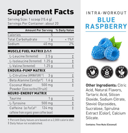 Kaged Creatine Monohydrate, Glutamine & Intra Workout Bundle | Pre, Intra, & Post Workout Supplement Kit | Muscle Recovery and Growth