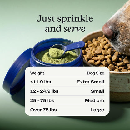 PetLab Co. ProBright Dental Powder - Dog Breath Freshener - Teeth Cleaning Made Easy – Targets Tartar & Bad Breath - Formulated for Medium Size Dogs - Pack of 2