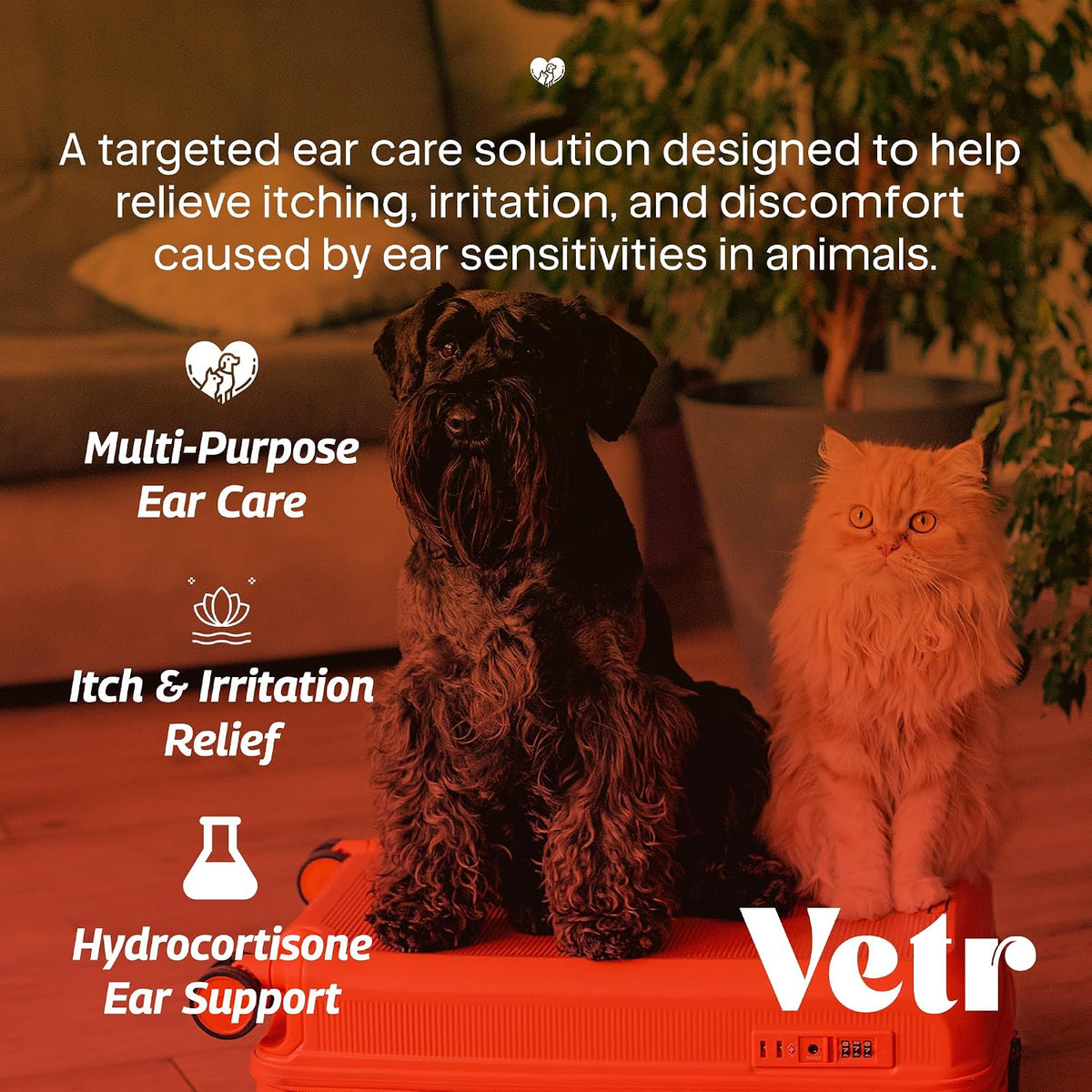 vetr Anti-Itch Ear Drops for Dogs - Topical Ear Comfort Support Solution - 2 oz (60mL) - Vet-Formulated in USA