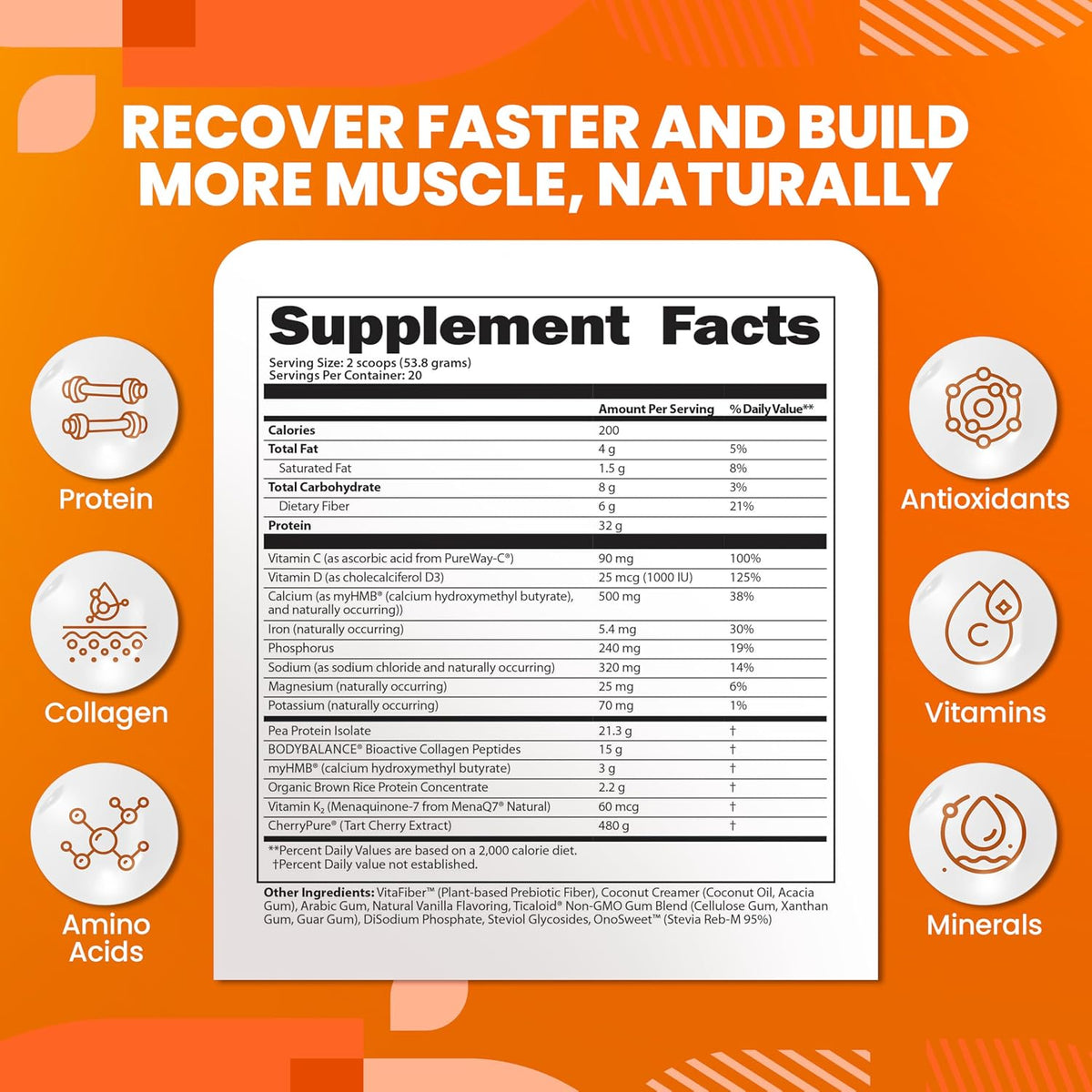 Protein Clinic - Collagen Protein Powder Recovery Shake, Vanilla | Dairy-Free with myHMB, CherryPURE and Prebiotic Fiber for Muscle, Joint and Digestive Support, Vitamin D3 and K2