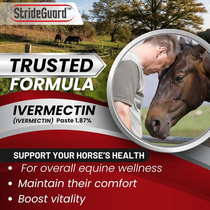Horse Ivermectin Paste 1.87% – Apple Flavored Oral Horse Dewormer Syringe – 6.08g Tube Treats Horses Up to 1,250 lbs [Pack-1]