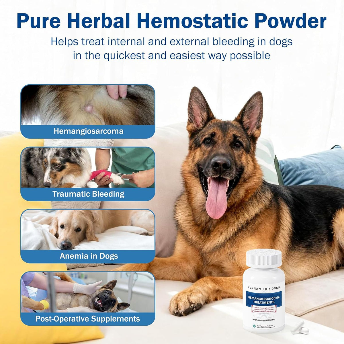 Fast Acting Bleeding Control for Dogs - Yunnan Sanqi Herbal Capsules | Supports Internal Bleeding, Hemangiosarcoma, Nosebleeds, Bloody Stools, Post-Surgical Recovery, 60 Capsules