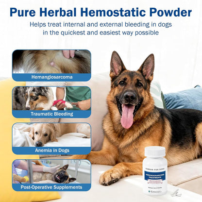 Fast Acting Bleeding Control for Dogs - Yunnan Sanqi Herbal Capsules | Supports Internal Bleeding, Hemangiosarcoma, Nosebleeds, Bloody Stools, Post-Surgical Recovery, 60 Capsules