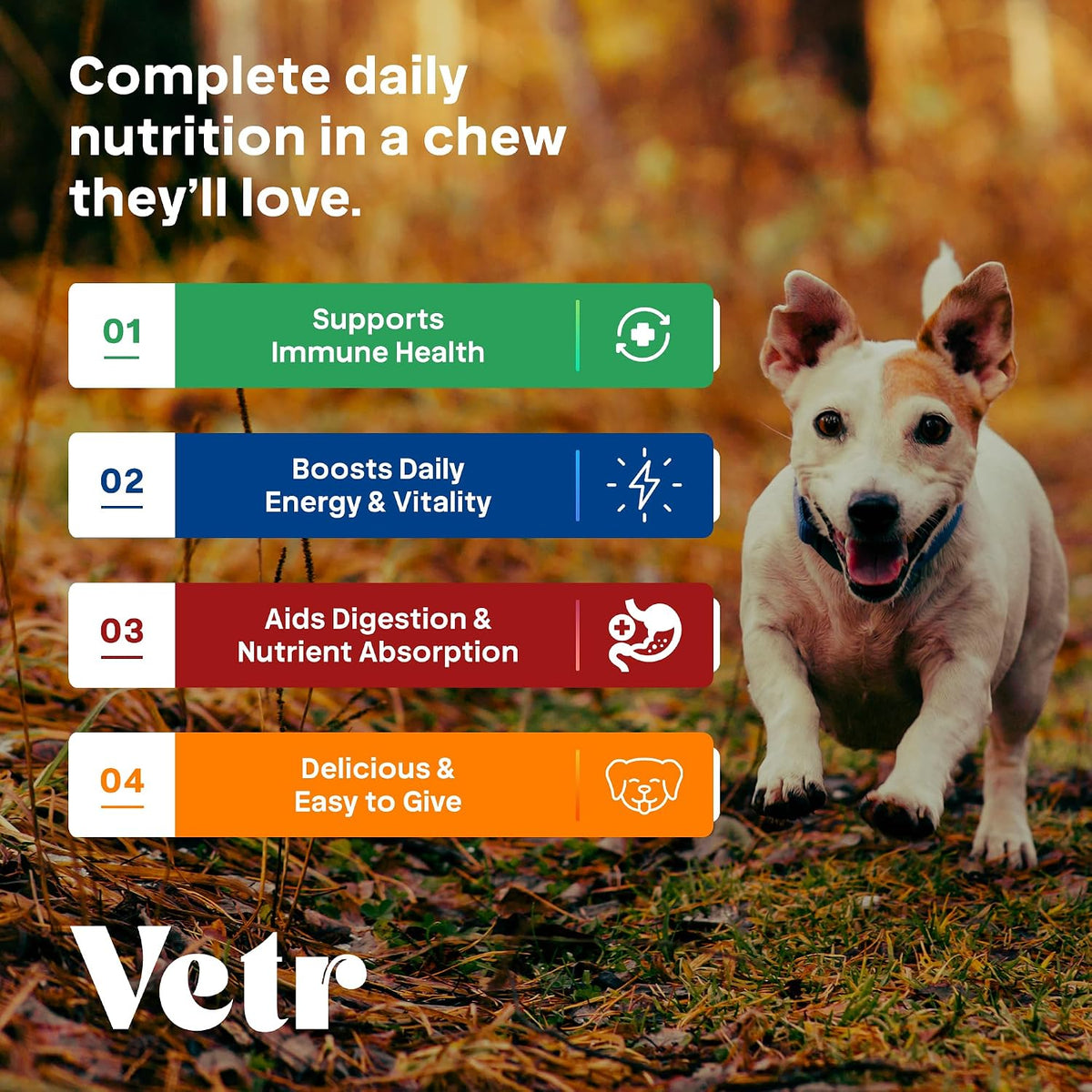 Vetr Dog Multivitamin Treats, 60 Chews Chicken Flavor, Daily Pet Dog Vitamins and Supplements with Glucosamine, Chondroitin, & Probiotics, Hip & Joint, Immune Support, & Digestive Care