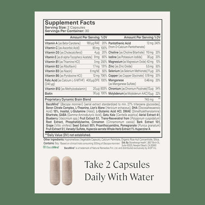 Stonehenge Health Dynamic Brain + Dynamic Mushrooms Bundle Memory Acquisition, Retention, & Recall with 40 Unique Nootropic Brain & Immune System Support