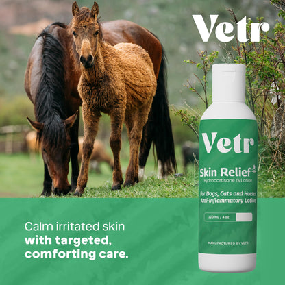 vetr Skin Relief Hydrocortisone Spray for Dogs - Topical Support for Itchy Skin and Hot Spots - 4 oz (120mL) - Vet-Formulated in USA