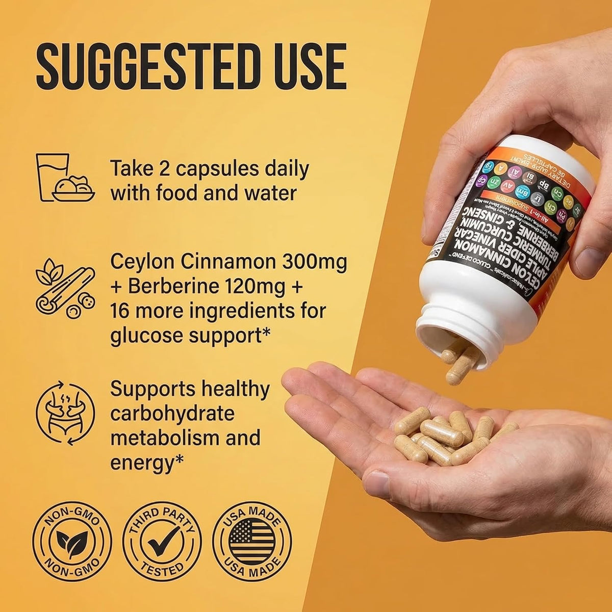 Clean Nutraceuticals Ceylon Cinnamon Capsules + Berberine Turmeric Apple Cider Vinegar Ginseng Bitter Melon (Karela) Gymnema Milk Thistle Fenugreek Supplement Pills Powder for Men & Women