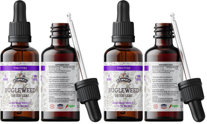 Bugleweed Tincture, Organic Bugleweed Extract (Ze LAN, Lycopus Virginicus) Herbal Supplement, Non-GMO in Cold-Pressed Organic Vegetable Glycerin 700 mg, 2 oz (60 ml)