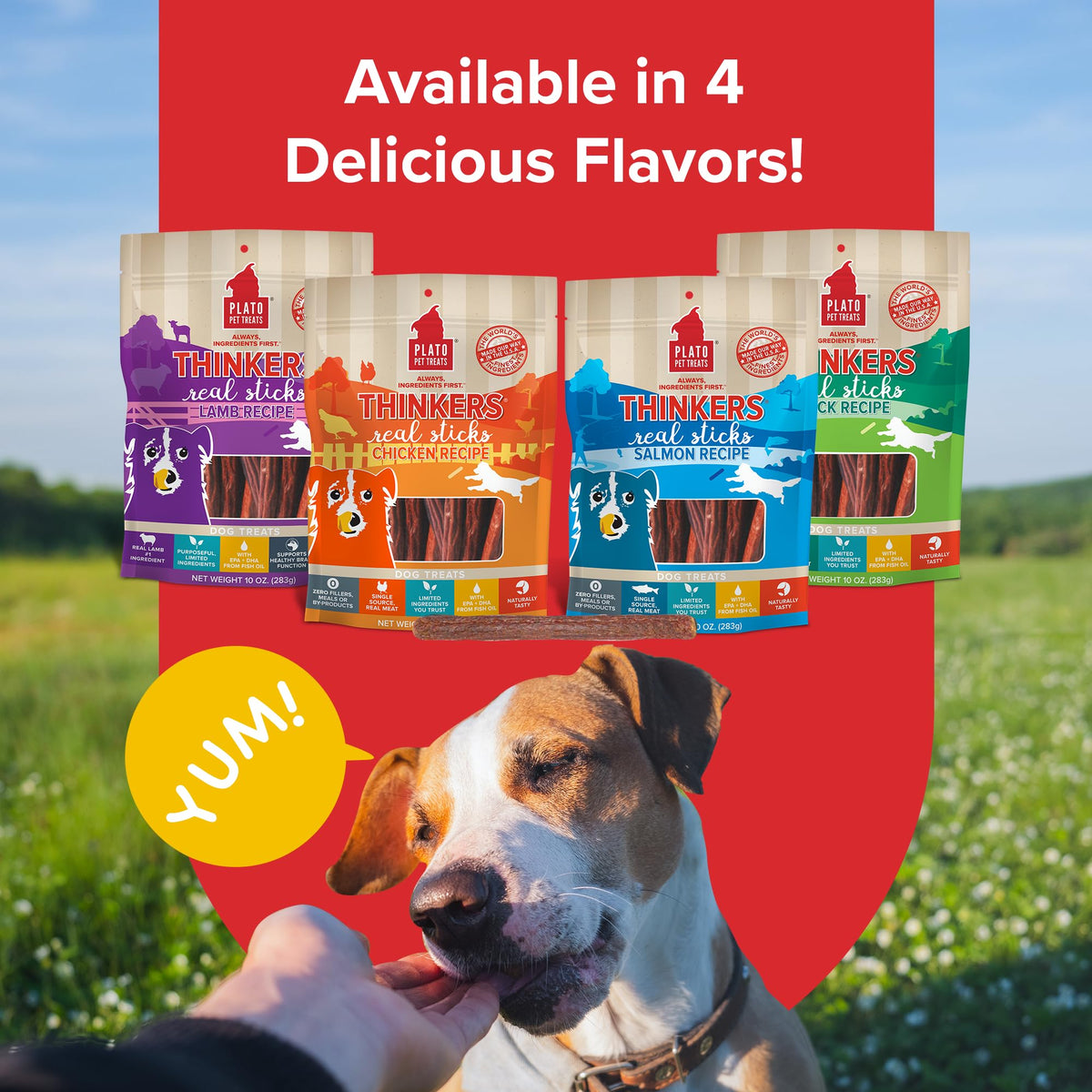 Plato Meat Sticks Salmon Dog Treats, Air-Dried High-Protein Soft Chews with Omega Fish Oil (EPA & DHA), 10 oz
