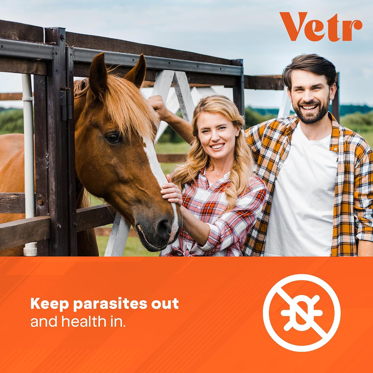 Ivermectin for Horses & Sheep 1.87% Concentration, 6cc, 7 Pack