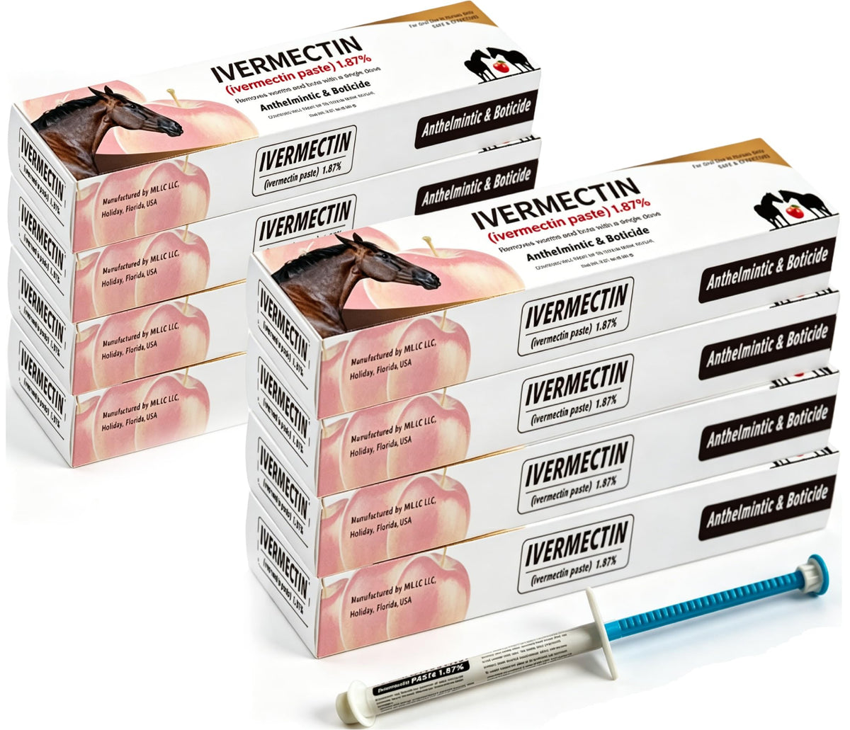 Paste for Horse 1.87% – 6.08g Tube Apple Flavored for Horses Only - 3 Pack
