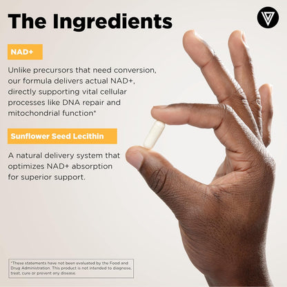 Vital Vitamins Men's Multivitamin Complex + NAD+ Supplement