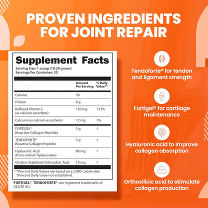 SaltWrap Joint & Muscle Recovery Bundle, Daytime - Collagen & Mag 3D | Made in USA, NSF Certified for Sport, Pairs Fortigel & Tendoforte Peptides with Quercetin, Fisetin and Senactiv Complex