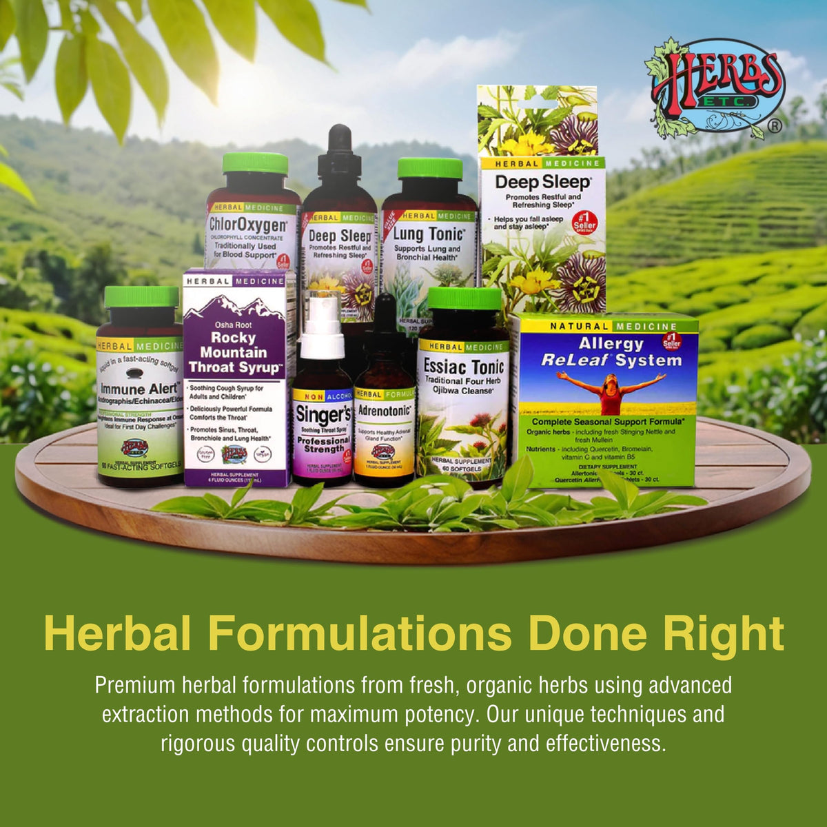 Herbs Etc. Phytocillin - Respiratory & Digestive Health Support Supplement - Herbal Formula to Support Digestion - Support Healthy Breathing - 120 Softgels (120 Servings) Herbs Etc.Buy Supplements Australia