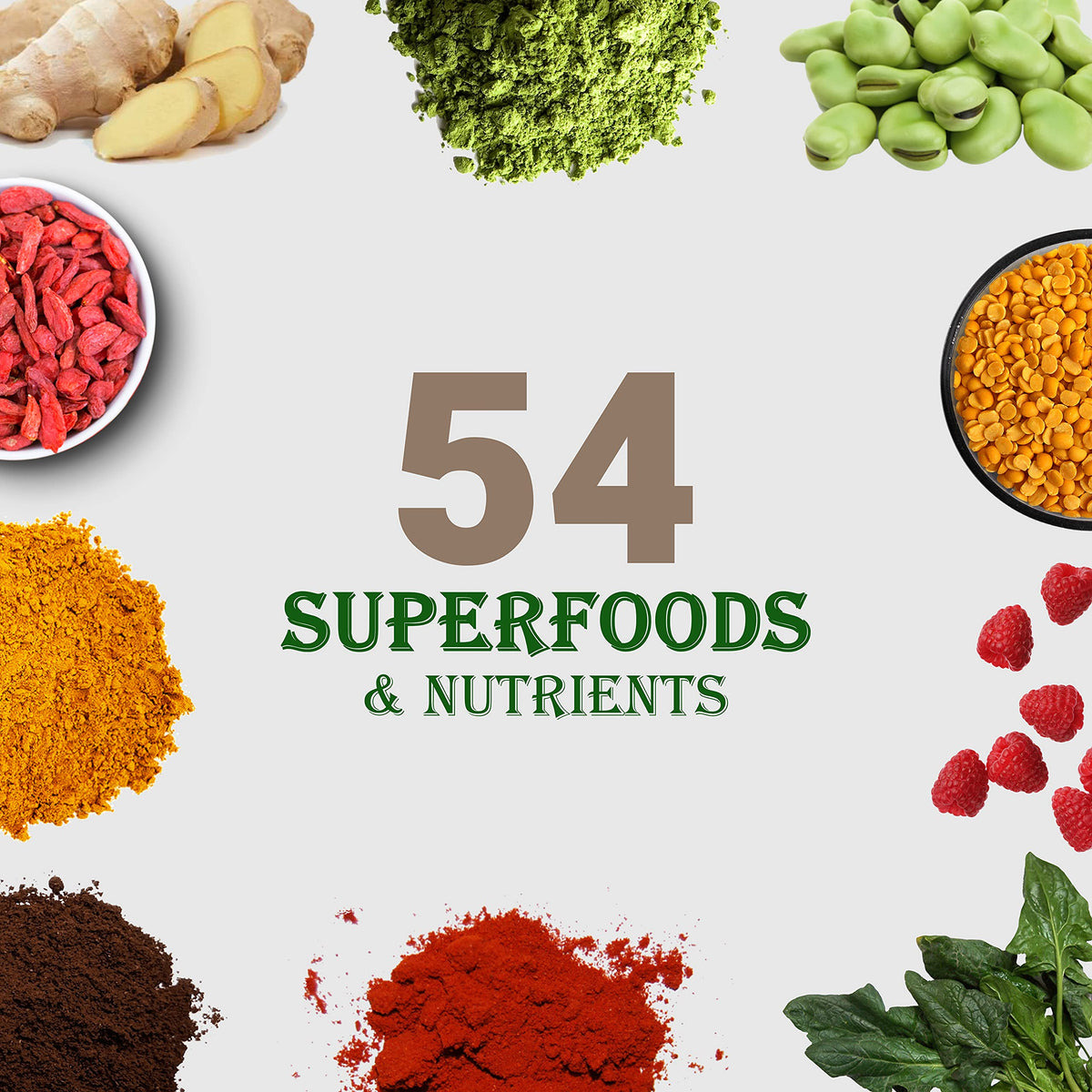 UpNourish Chocolate Vegan Protein Powder 54 Superfoods Powder,1.5 Billion CFU Probiotics 21g Plant Based Protein,No Sugar No Dairy No GMO Dairy Free,Meal Replacement Shake Keto-Friendly Low-Carb Diet,15 Servings