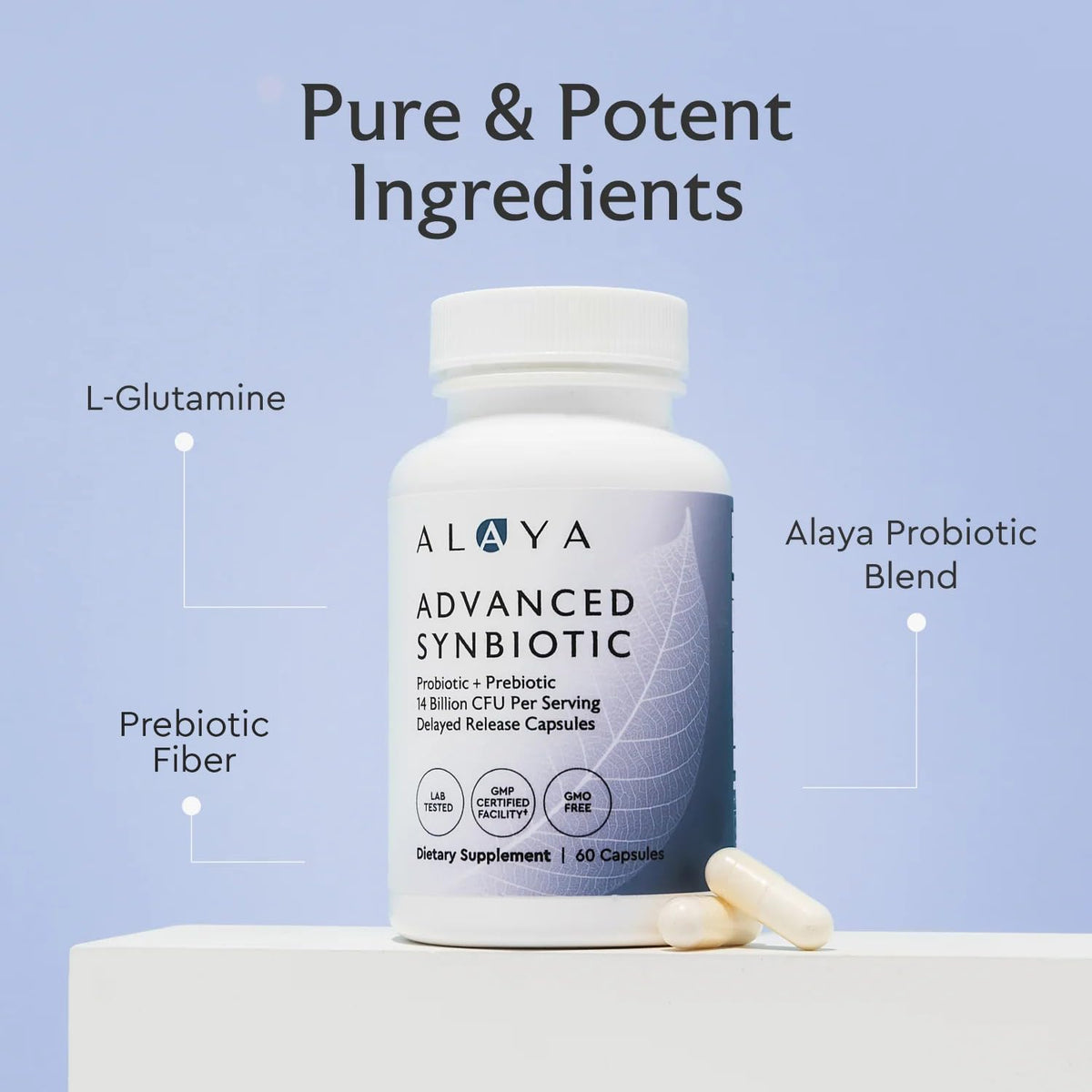 Alaya Naturals Advanced Synbiotic - Probiotic + Prebiotic - 14 Billion CFU Delayed Release Probiotic Supplement with Prebiotics from Sunfiber®, and L-glutamine for Gut Lining Integrity - 60 Capsules - PrimeBioHealth - canada supplements