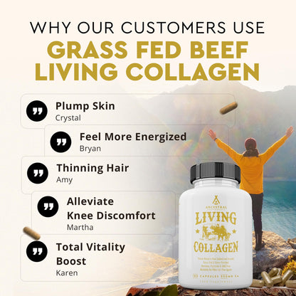 Ancestral Supplements Grass Fed Beef Living Collagen Nutritional Powder Supplement, 3000mg, Promotes Healthier, Younger Looking Skin, Hair - PrimeBioHealth - canada supplements