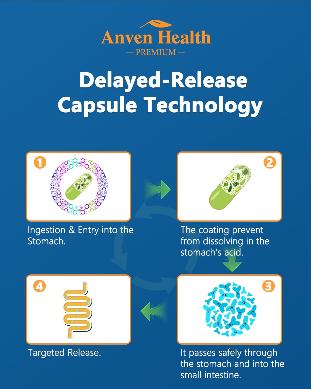Anven Health 60 Billion Probiotic and Prebiotic for Women and Men - 19 Strains 5 Organic Prebiotics for Gut Digestive & Immune Health, Supports Diarrhea Gas Bloating, Non-GMO – Made in USA丨60 Caps - PrimeBioHealth - canada supplements