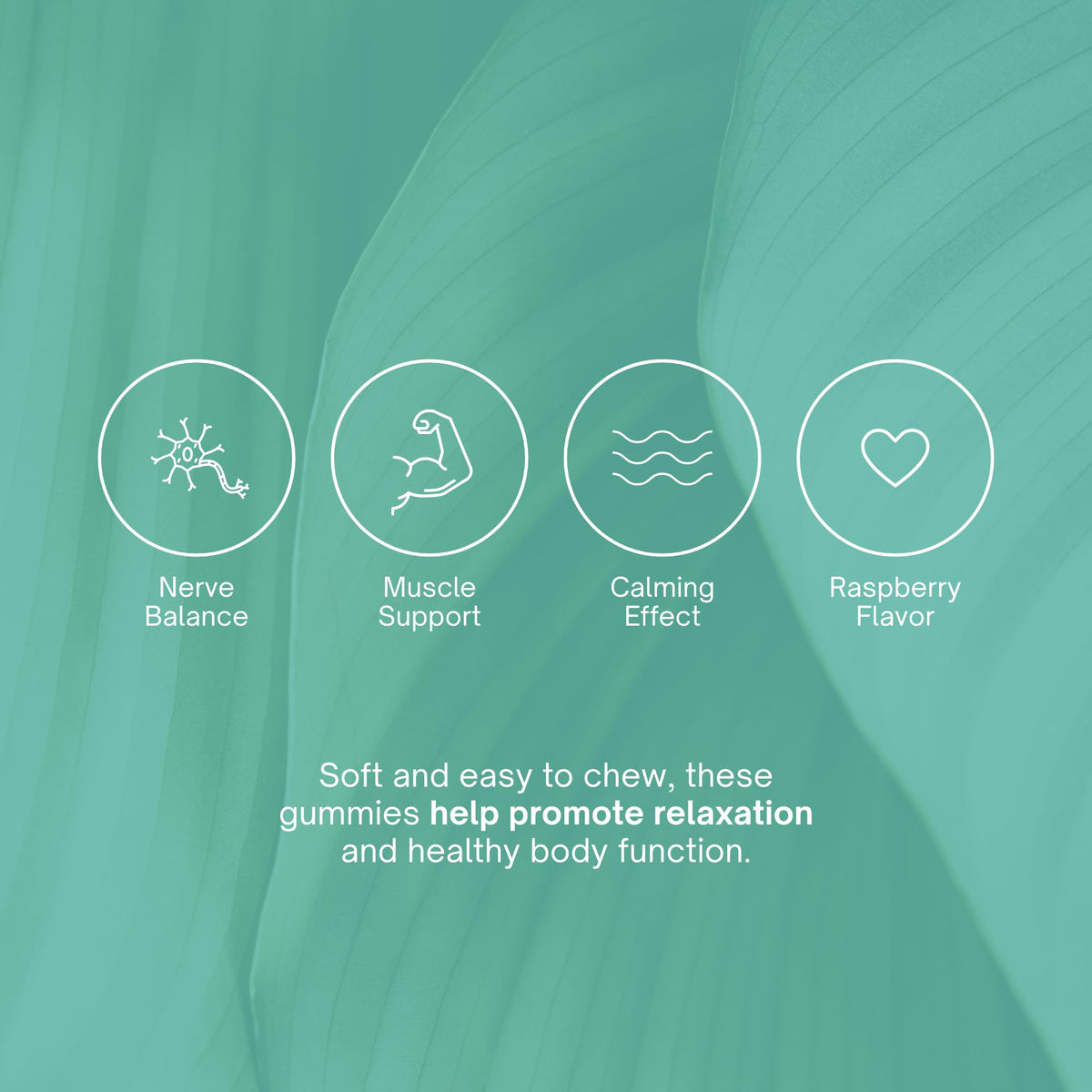 Chapter One Magnesium Gummies, Great Tasting Magnesium for Kids, Calm Kids Magnesium, Magnesium Gummies for Women and Men - PrimeBioHealth - canada supplements
