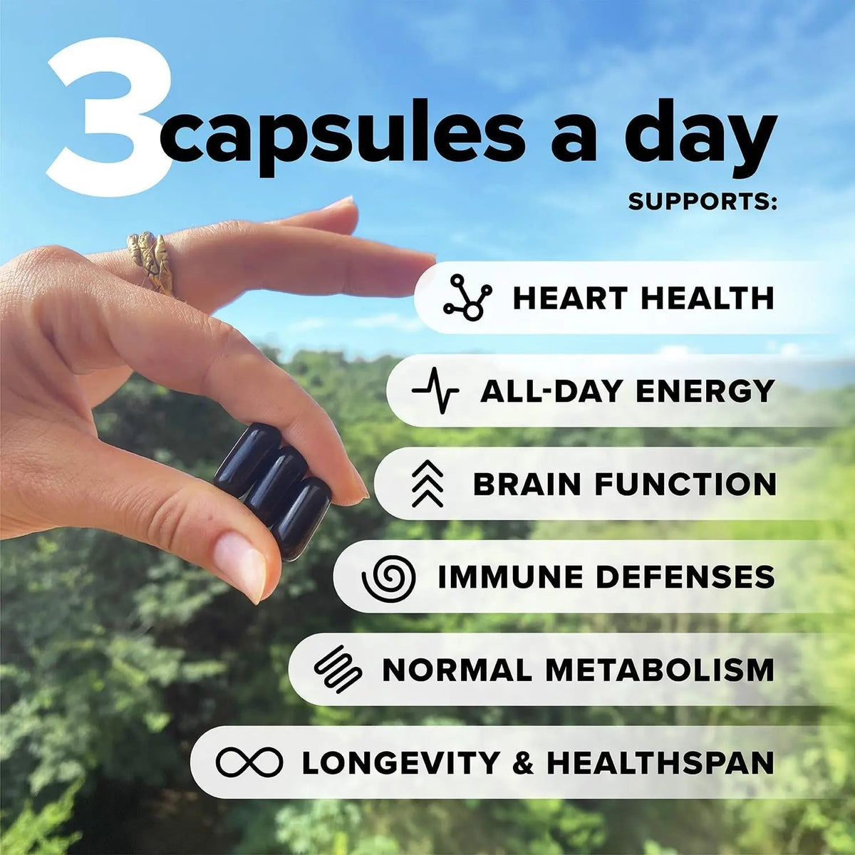 Complement Essential Vegan Multivitamin for Men & Women (60 Servings, 180 Capsules) with Omega-3 DHA & EPA, B12, Vitamin D3 & K2 - PrimeBioHealth - canada supplements