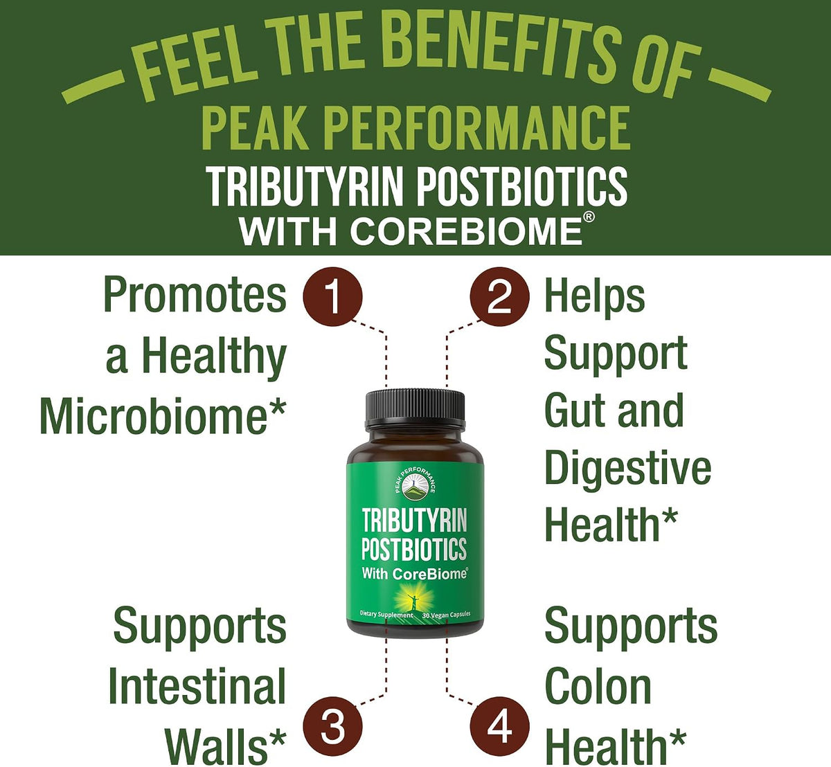 CoreBiome Tributyrin Postbiotic Supplement Clinically Tested for Gut Health. More Effective Than Sodium Butyrate Capsules. High Bioavailability Post Biotics for Digestive, Leaky Gut, Colon, Microbiome - PrimeBioHealth - canada supplements