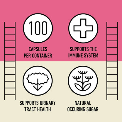 D Mannose 520mg Capsules - Organic D Mannose Supplement for UT Support, Urinary Tract Bladder Health Pills, Plant Based Formula, Vegan Non GMO, No Fillers, 500 Capsule Count Made USA Certified Kosher - PrimeBioHealth - canada supplements