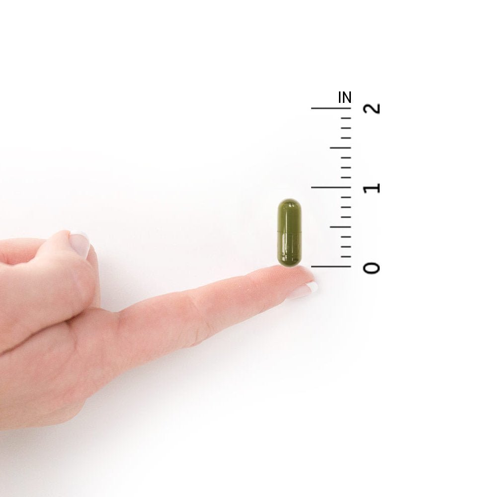 Garden of Life Vitamin D3 5000 IU, Raw Whole Food Supplements with Chlorella, Fruit, Veggies & Probiotics for Bone & Immune Health - PrimeBioHealth - canada supplements