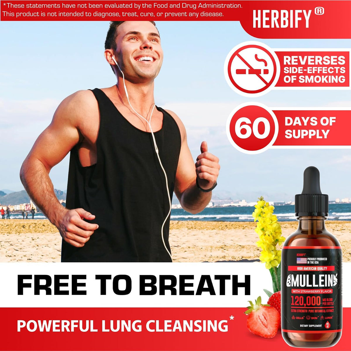 HERBIFY Bundle - Lions Mane & Mullein 4 Fl Oz Strawberry Drops - Supplement for Memory, Focus & Clarity & Immune Support, Lung Cleanse and Bronchial Support - PrimeBioHealth - canada supplements