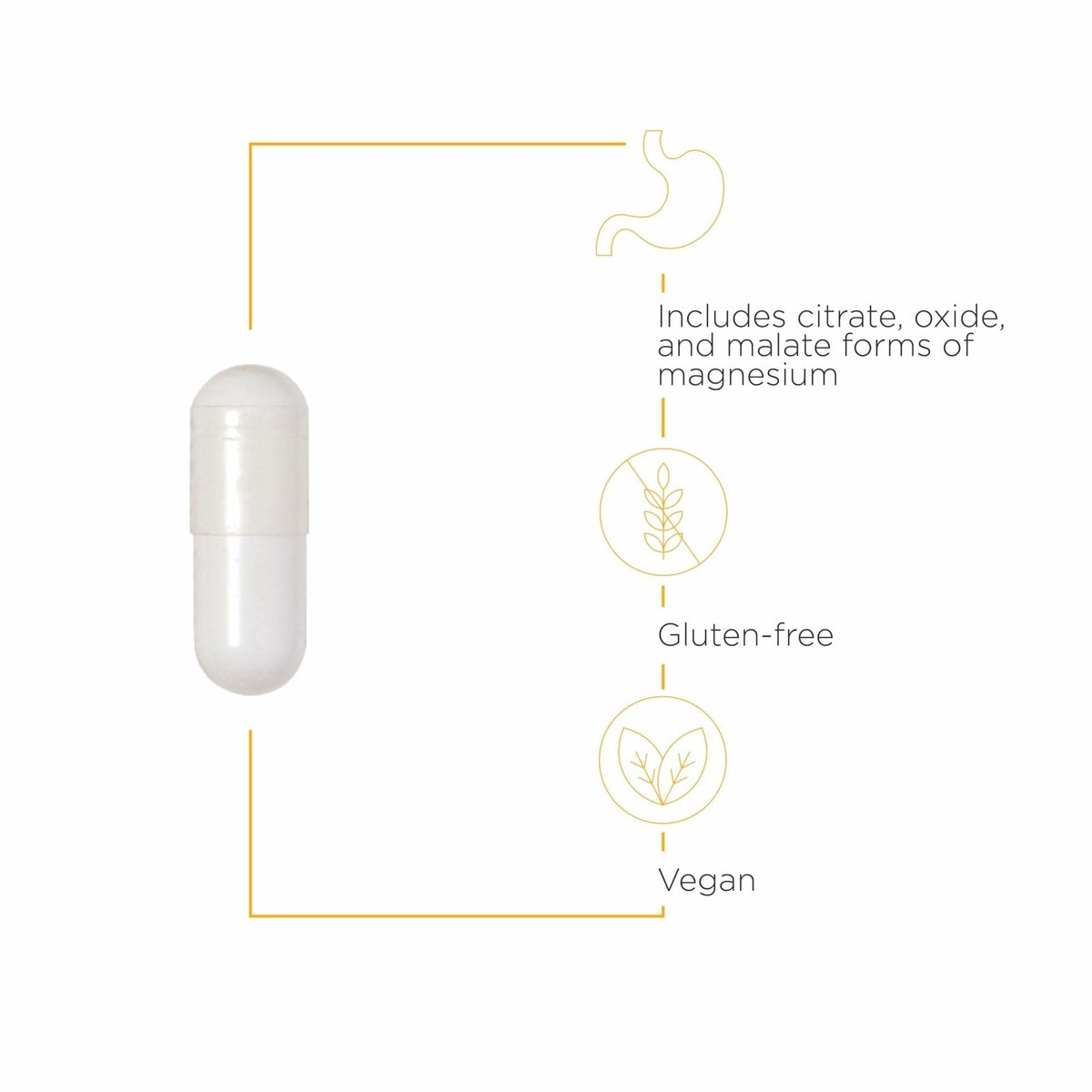 Integrative Therapeutics Tri-Magnesium - Supports Cellular Energy & Energy Metabolism - Magnesium Supplement for Heart & Nerve Health Support - PrimeBioHealth - canada supplements