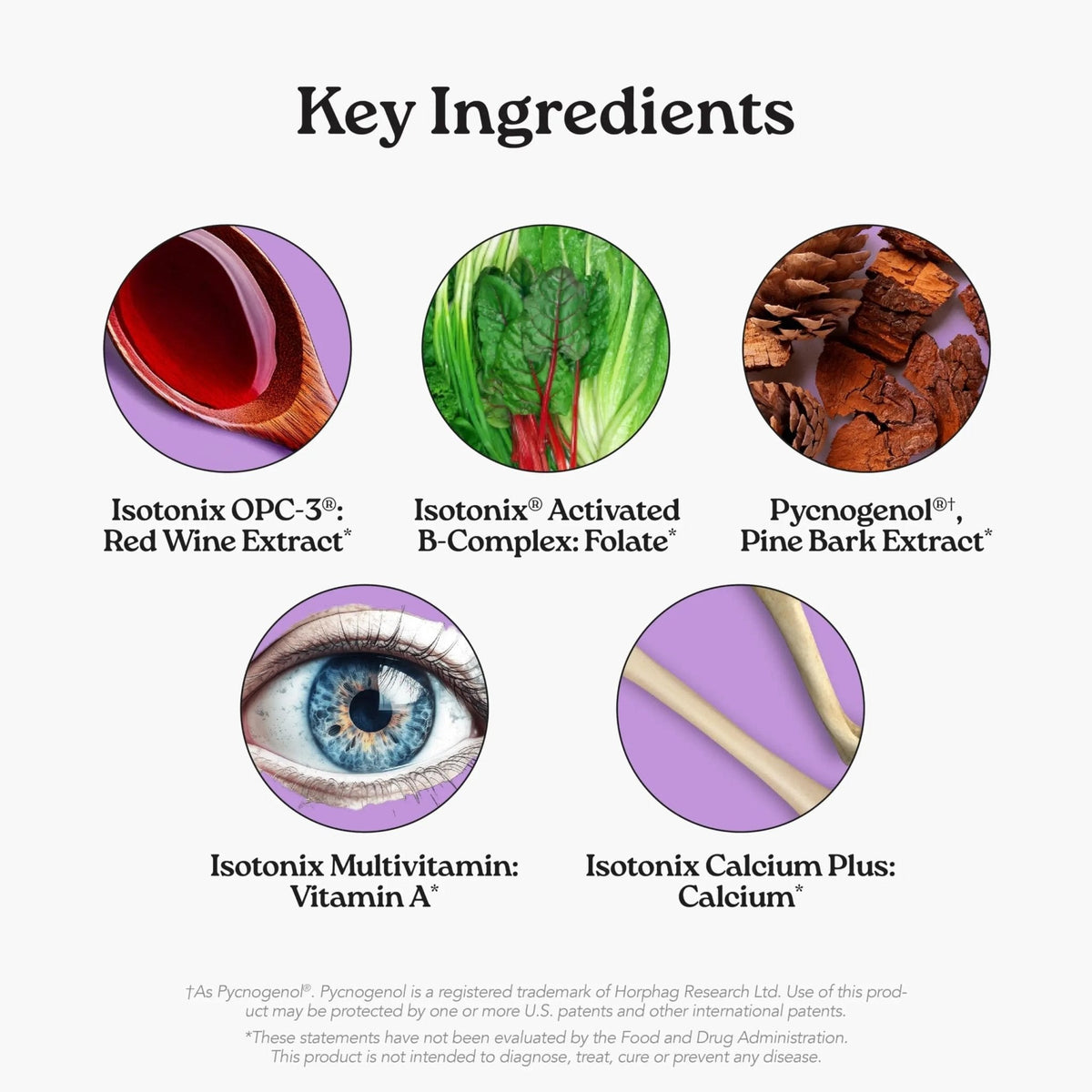 Isotonix® Daily Essentials Multivitamin Powder Packets – 4-in-1 Formula with Multivitamin, Activated B-Complex, Calcium Plus - PrimeBioHealth - canada supplements