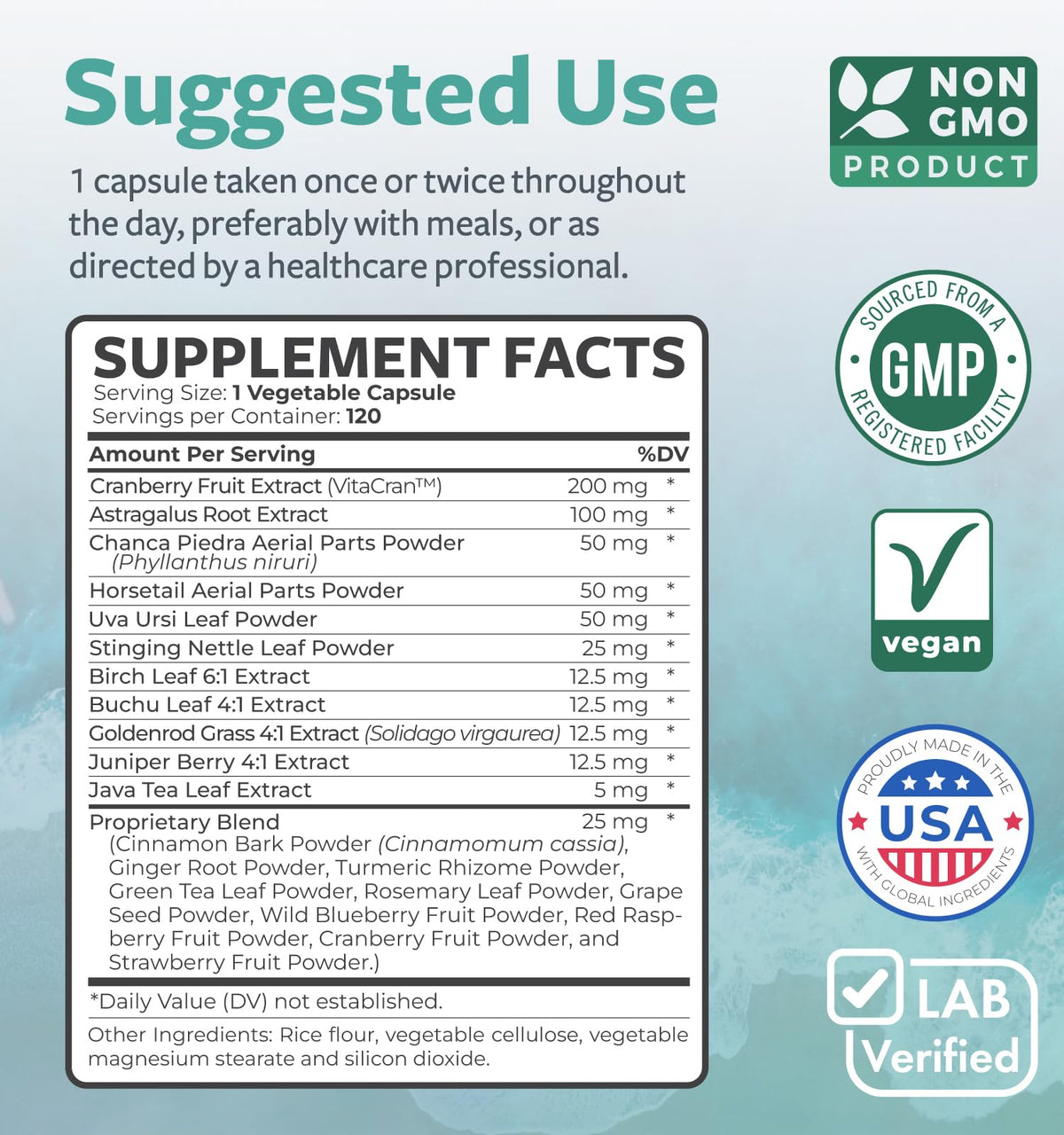 Kidney Cleanse Detox (Non-GMO) Support Healthy Urinary Tract- Powerful VitaCran Cranberry Extract & Herbs – Healthy Kidney Support Supplement - 60 Vegetarian Capsules (No Pills) - PrimeBioHealth - canada supplements