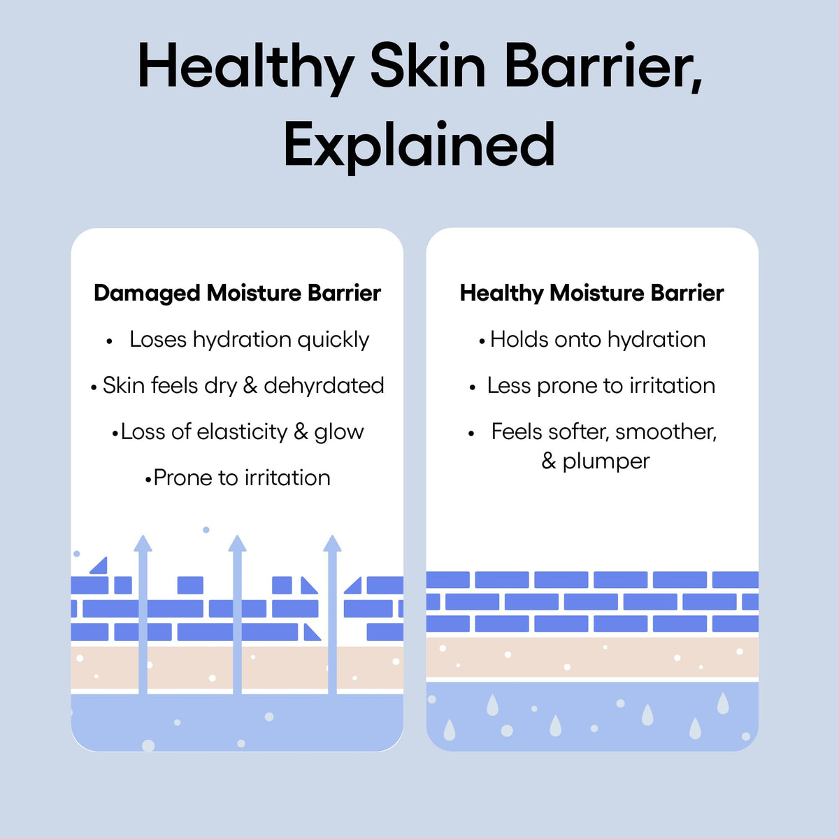 LANEIGE Water Bank Blue Hyaluronic Cream Moisturizer: Hydrating Korean Face Cream with Squalane & Ceramide - PrimeBioHealth - canada supplements