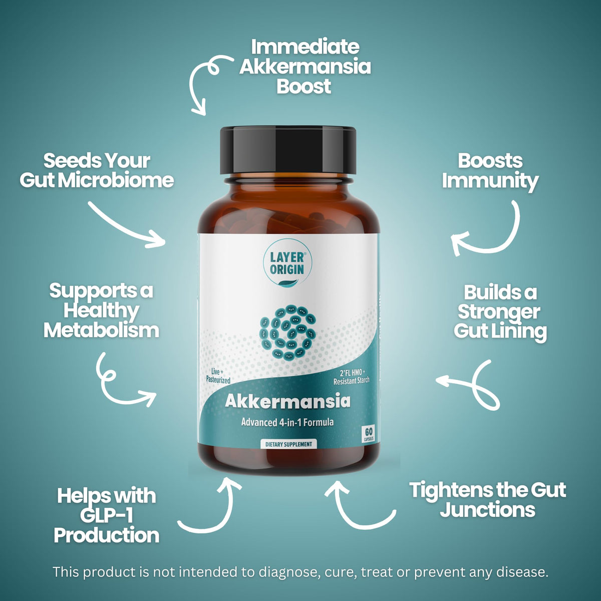 Layer Origin Akkermansia muciniphila Probiotic, with Both Live + Pasteurized Akkermansia and PureHMO Prebiotic, Validated Strain, Updated 4-in-1 Formula - PrimeBioHealth - canada supplements
