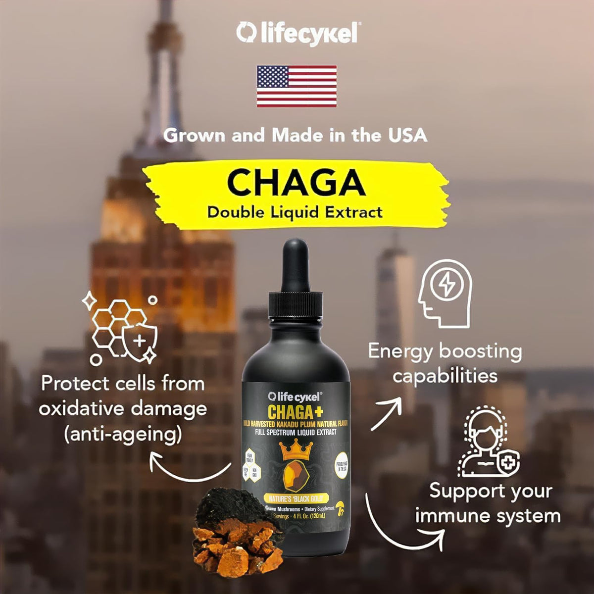 Life Cykel - Chaga Mushroom Extract with Kakadu Plum - Double Extracted Mushroom Tincture - Non-GMO Immune Support Supplement for Adults and Kids - 1 Fl Oz - PrimeBioHealth - canada supplements