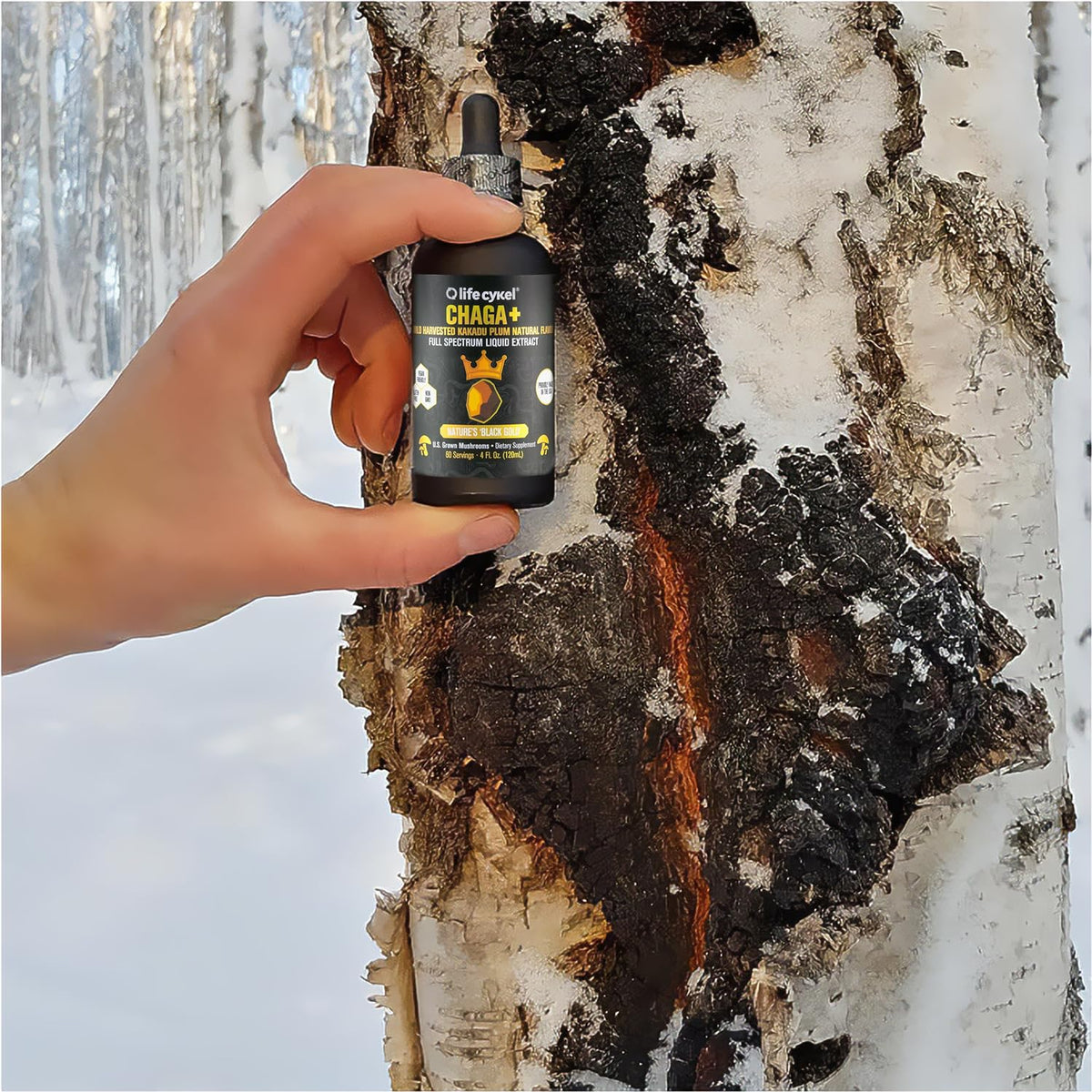 Life Cykel - Chaga Mushroom Extract with Kakadu Plum - Double Extracted Mushroom Tincture - Non-GMO Immune Support Supplement for Adults and Kids - 1 Fl Oz - PrimeBioHealth - canada supplements