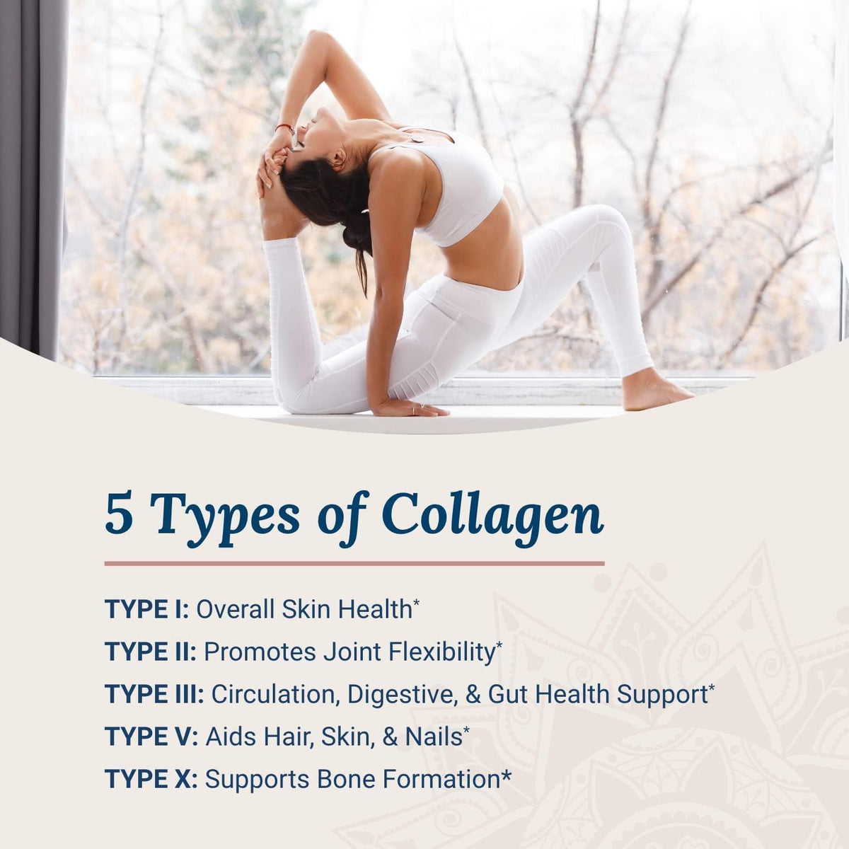 Live Conscious Beyond Collagen Powder & Beyond Hormone | Hair, Skin, Nail, and Joint Support + Promotes Healthy Estrogen Balance for Women - PrimeBioHealth - canada supplements