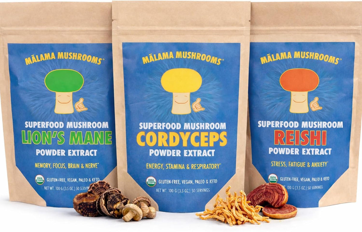 Malama All-Day Vitality Bundle – Lion’s Mane, Cordyceps & Reishi Mushroom Extract Powders – Organic Adaptogenic Superfood Trio for Focus, Energy & Relaxation – Vegan Supplements 3.5 oz (3-Pack) - PrimeBioHealth - canada supplements