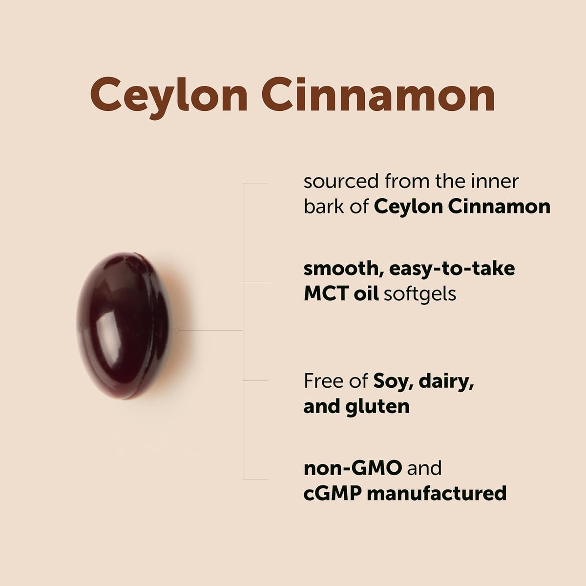 Micro Ingredients Ceylon Cinnamon, 300 Softgels | Cinnamon Supplements with MCT Oil | Non-GMO, Gluten Free - PrimeBioHealth - canada supplements