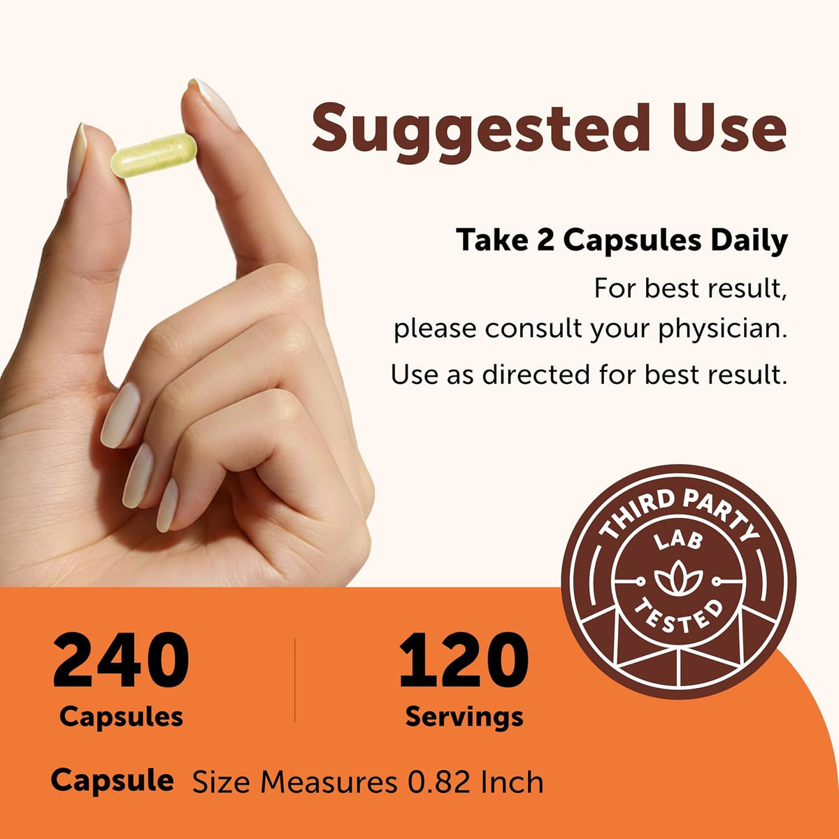 Micro Ingredients Quercetin with Vitamin C & Zinc, 240 Capsules | 6‑in‑1 Formula with Quercetin, Vitamin C & 4 Zinc Forms (Picolinate, Citrate, Glycinate, Gluconate) | Non‑GMO - PrimeBioHealth - canada supplements
