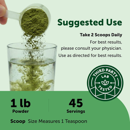 Micro Ingredients Super Greens Powder, 100 Superfoods, Green Drink Mix, 1lb | Superfood Blend with Daily Greens, Probiotics, Fruits, Vegetables & Mushrooms | 45 Servings | Non-GMO, Gluten-Free - PrimeBioHealth - canada supplements