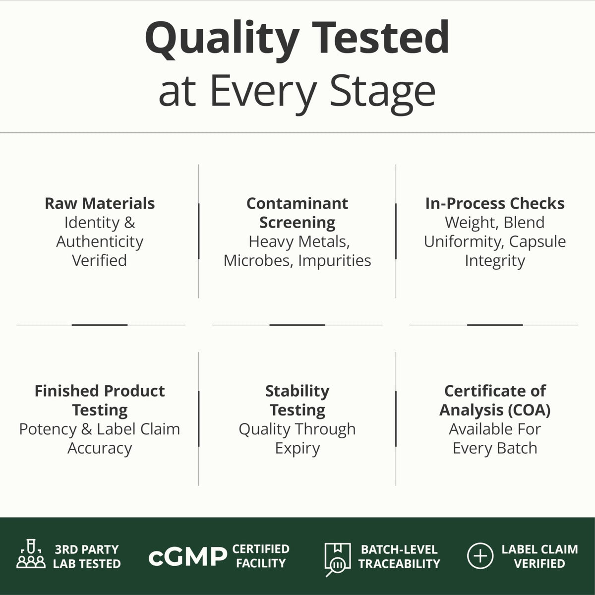 Multivitamin for Men with Methylated Vitamins and Chelated Minerals for Energy, Focus and Immune Health – Premium Daily Mens - PrimeBioHealth - canada supplements