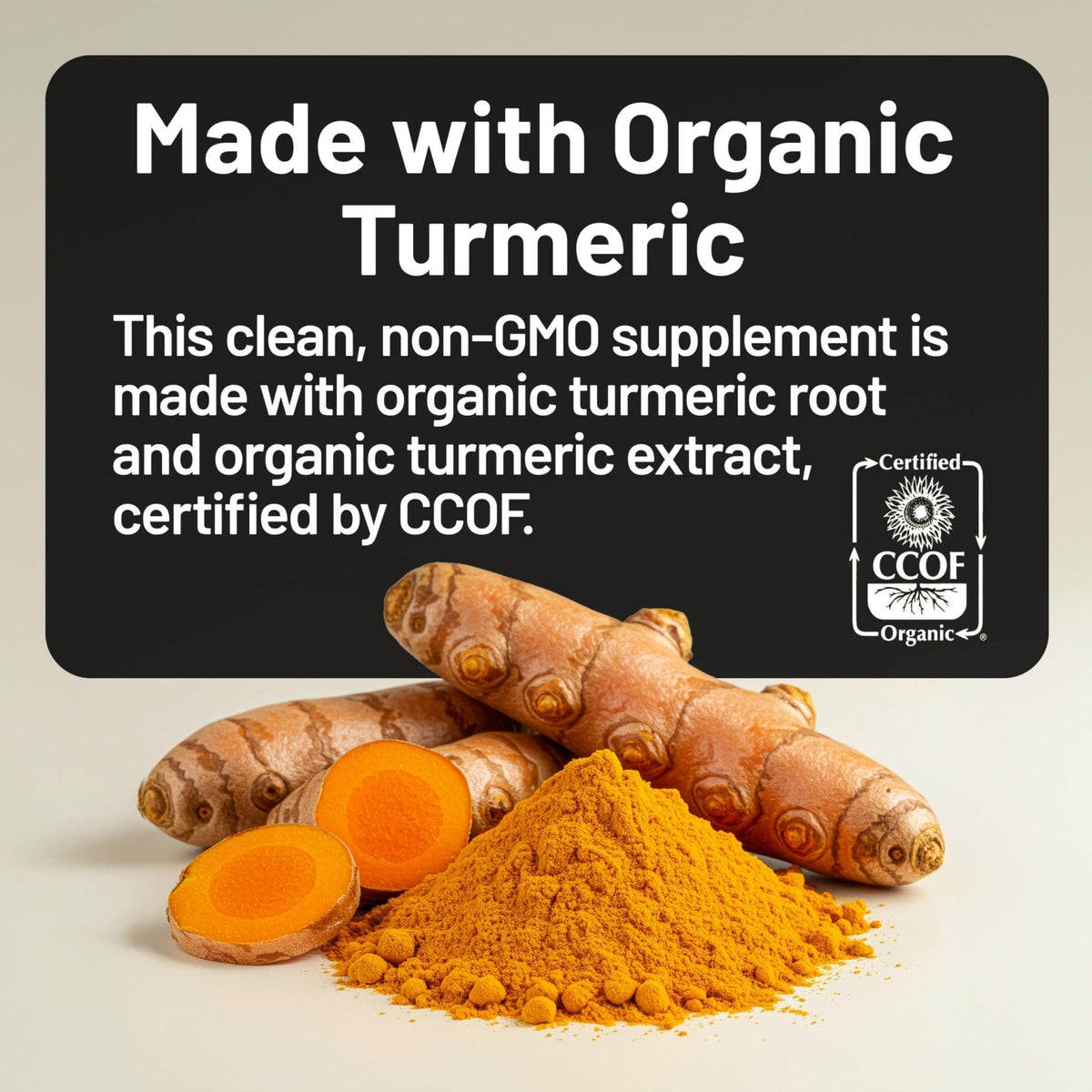 NatureWise Curcumin Turmeric 2250mg - 95% Curcuminoids & BioPerine Black Pepper Extract for Advanced Absorption - Daily Joint and Immune Health Support - PrimeBioHealth - canada supplements