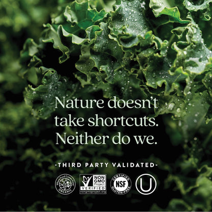 New Chapter Women’s Multivitamin 40+, extra B6 & B12, Biotin for Hair Growth, D3, Vit C, Zinc for Immune & Stress Support, Gentle on an Empty Stomach - PrimeBioHealth - canada supplements