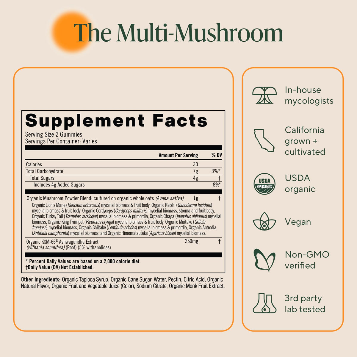OM MUSHROOM SUPERFOOD Master Blend Mushroom Gummies – Organic 10-Mushroom Complex with Ashwagandha – Supports Immunity, Gut Health & Stress Relief – Mixed Berry Flavor – 28 Servings, 56 Count. - PrimeBioHealth - canada supplements
