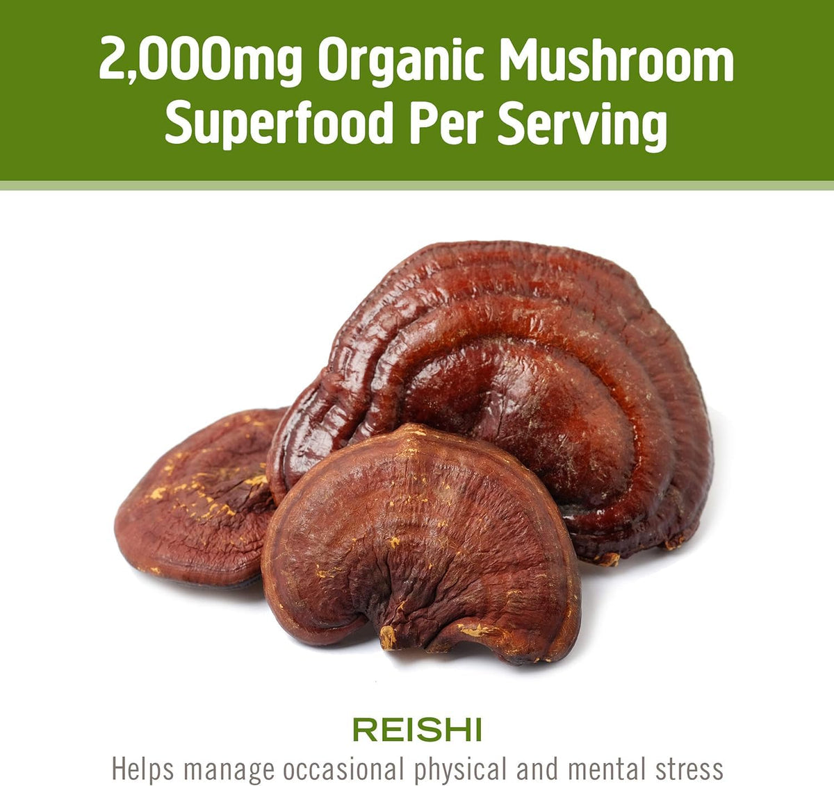 Om Mushroom Superfood Reishi Organic Mushroom Powder, 100 Servings, Organic Adaptogen Powder for Stress Relief and Immune Health - PrimeBioHealth - canada supplements