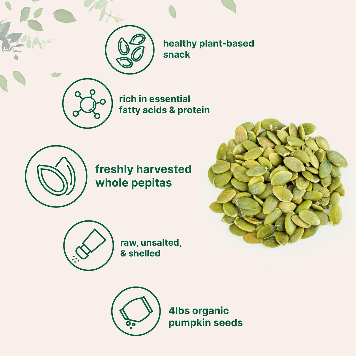 Organic Pumpkin Seeds, 4lbs | Raw, Unsalted, & Shelled – Whole Pepitas | Pumpkin Seeds to Eat | Great for Baking, Smoothies, & Salad Toppings | Natural Source of Essential Fatty Acids, Protein, & Iron - PrimeBioHealth - canada supplements